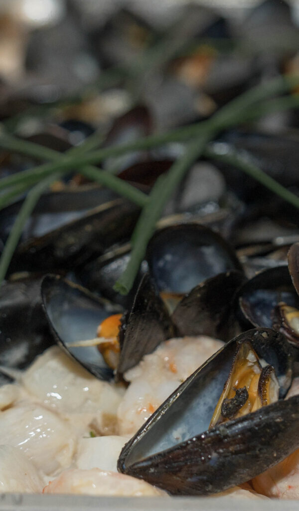 Mussels Galore Mussels Galore
